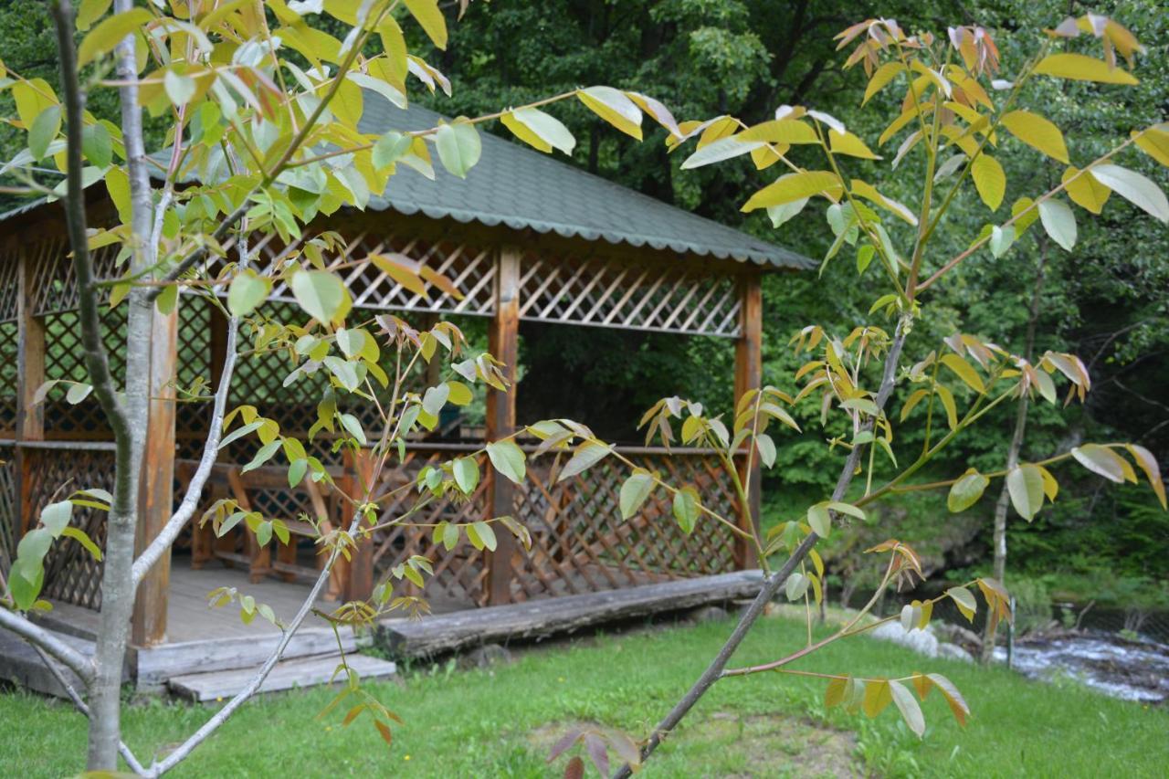 מלון Rîu de Mori Casa Verde מראה חיצוני תמונה